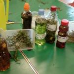 Making Potions Oct Half Term